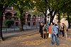 Bilder